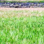De Segarra Palouet