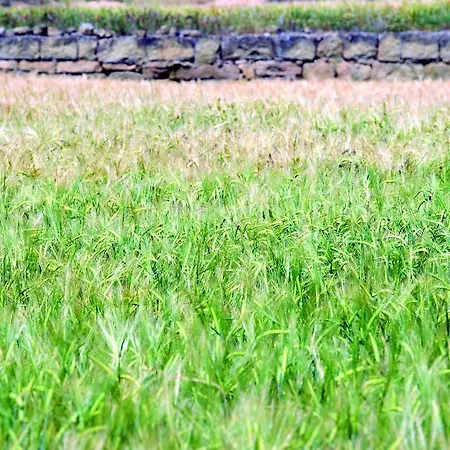 De Segarra Palouet